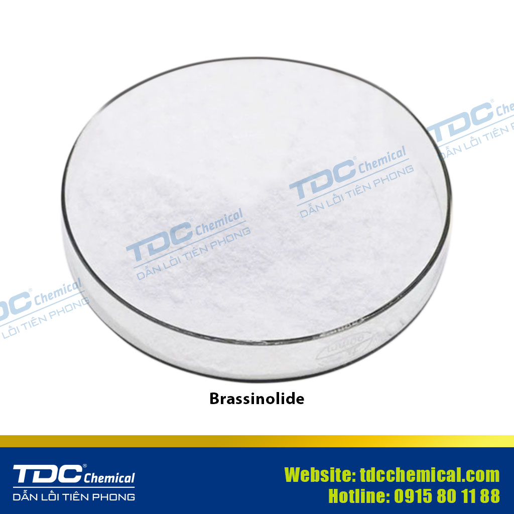 Brassinolide ≥ 90%