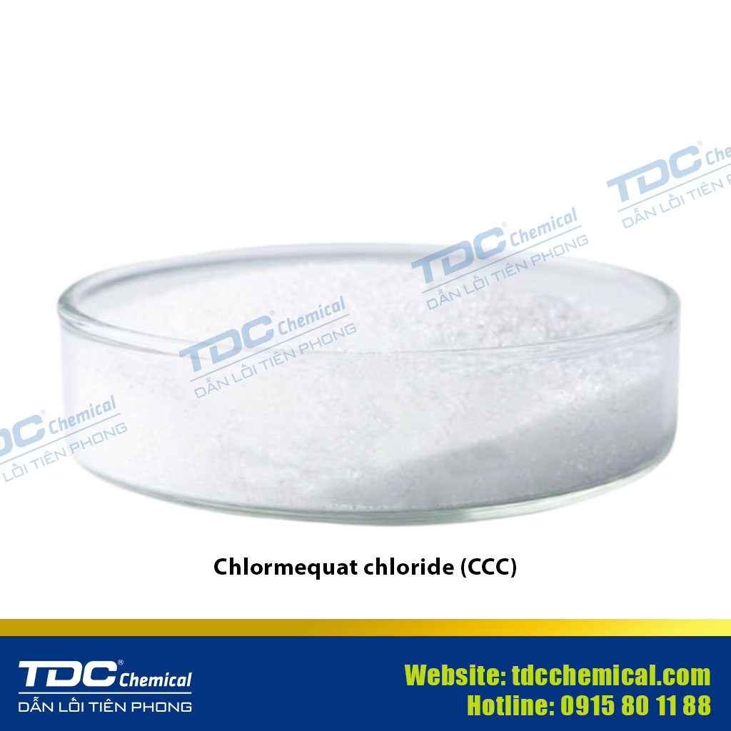 Chlormequat Chloride (CCC) ≥ 98% TC