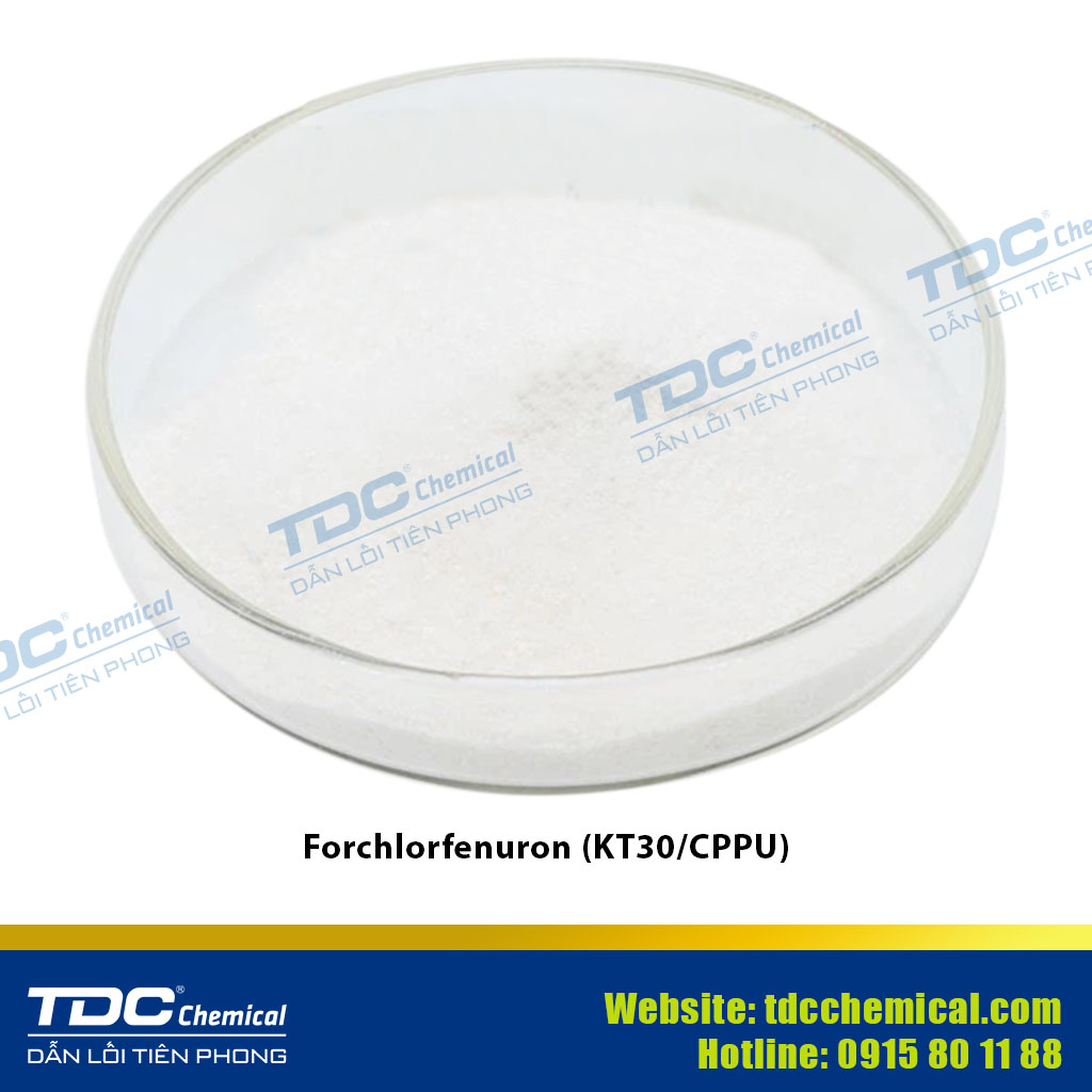 Forchlorfenuron (KT30 / CPPU) ≥ 98%