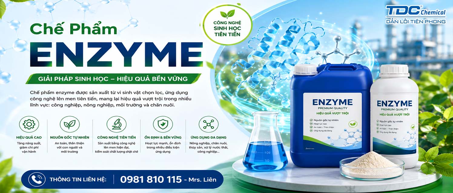 MUA Chế Phẩm Enzyme Công Nghiệp - Báo Giá Sỉ Nguyên Liệu Men Sinh Học B2B